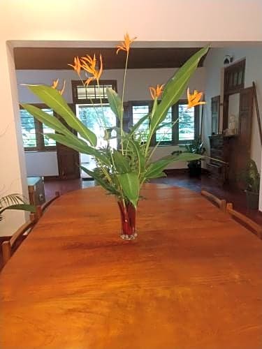 Фото Sweet Cinnamon Kandy