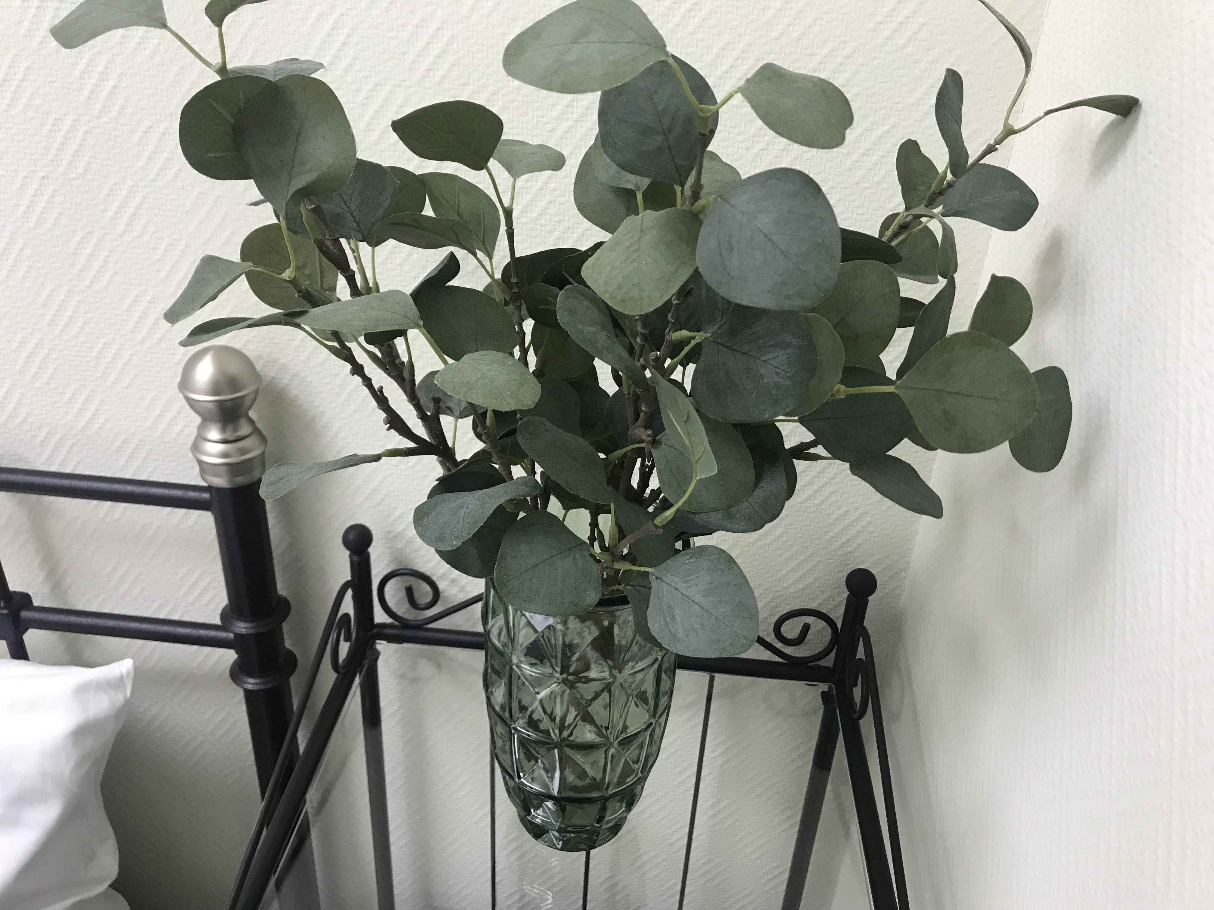 Фото Подкова