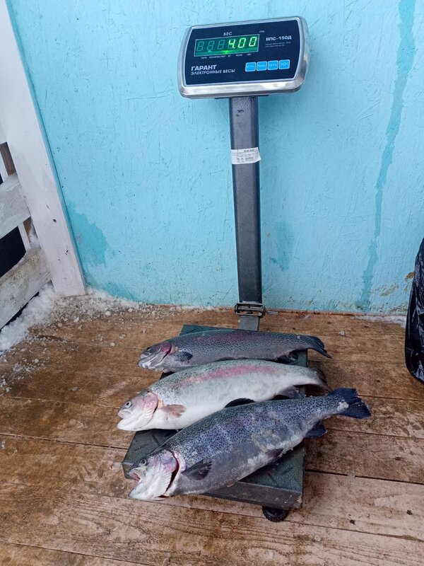 Место Клёва — фото 42