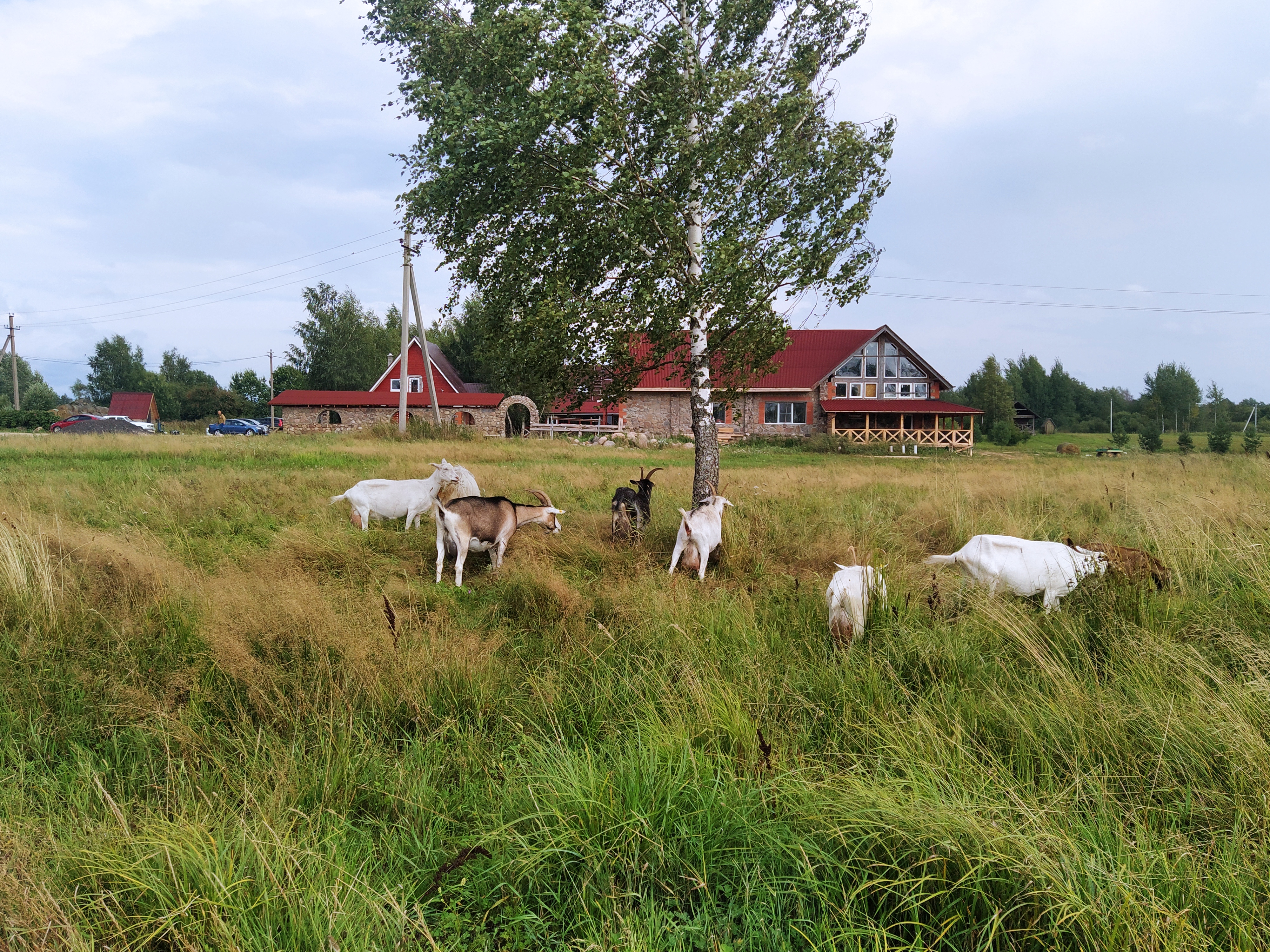 Фото Усадьба Хотило
