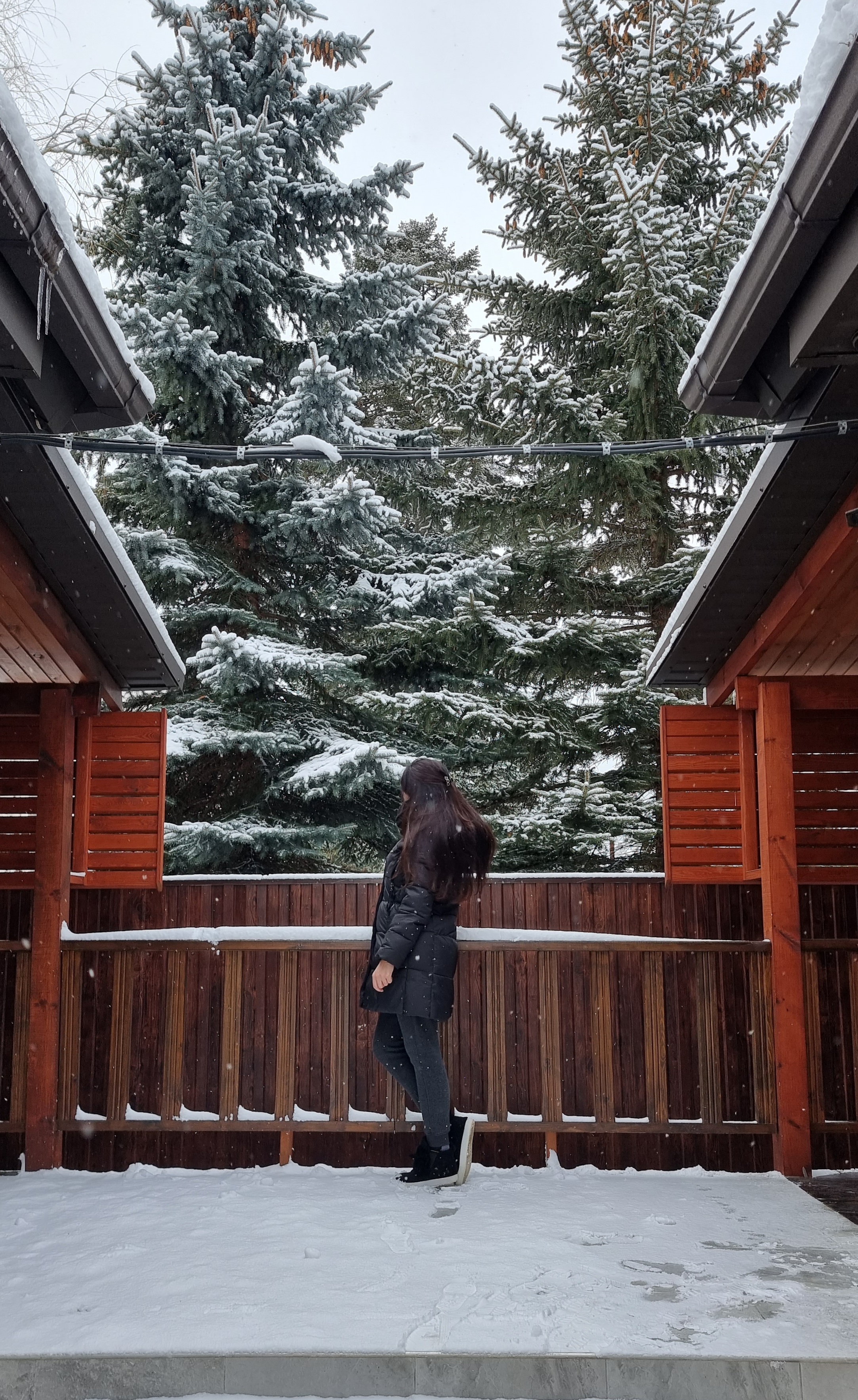 Фото Силагор