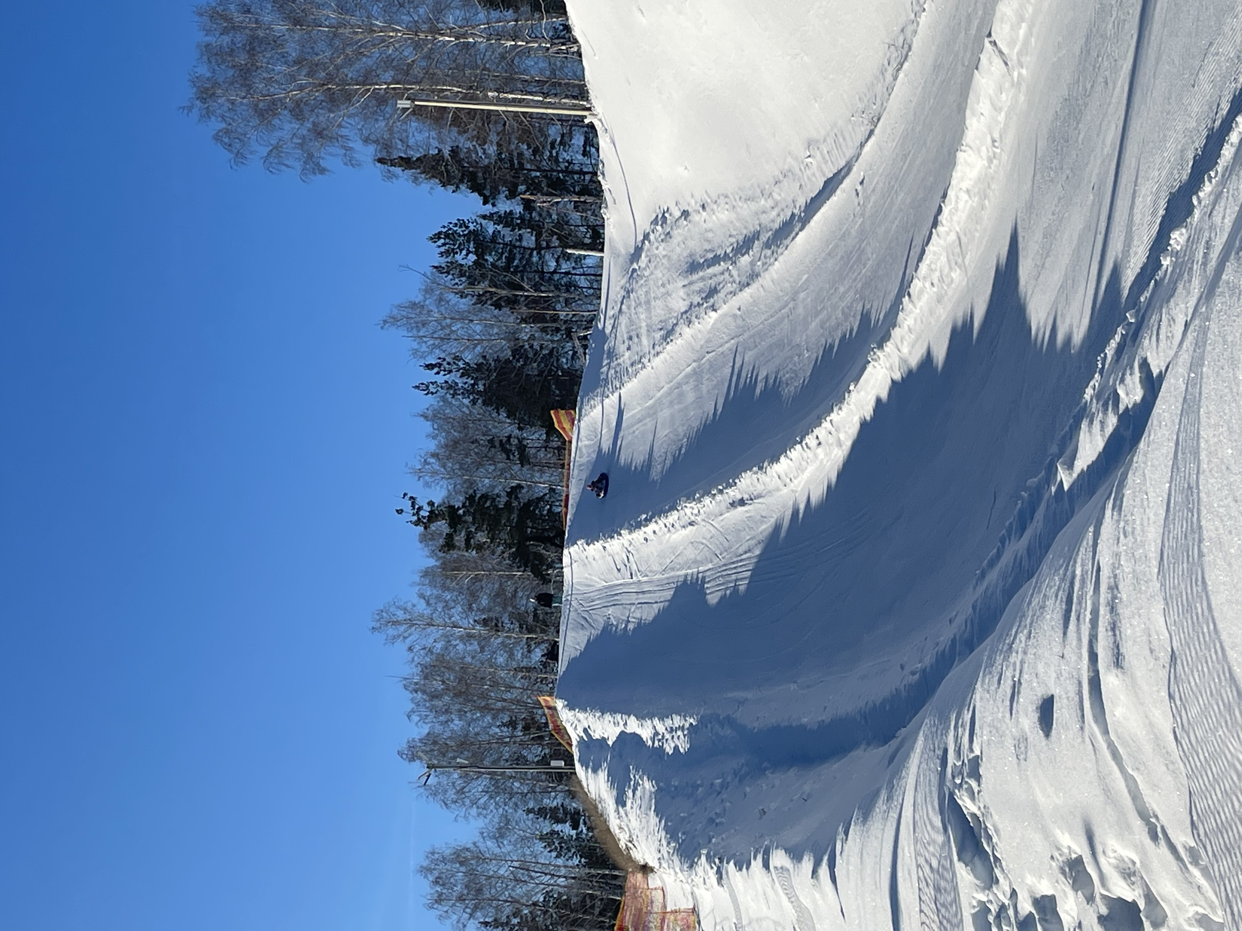 Фото Хиллпарк