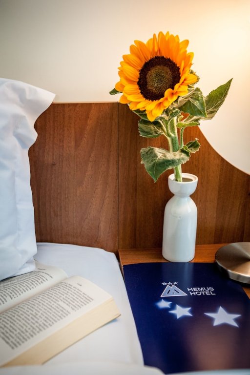 Фото Hemus Hotel Sofia