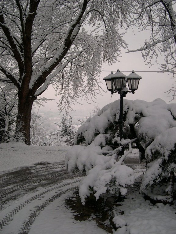 Фото B&b Four Winds