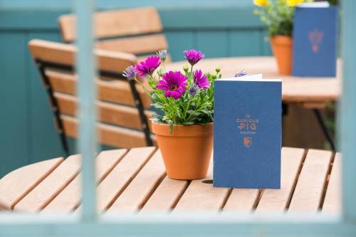 Фото The Curious Pig in the Parlour