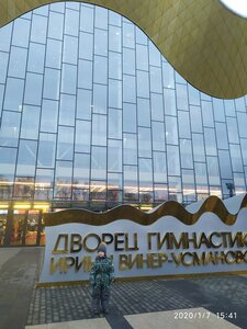 Дворец Ирины Винер