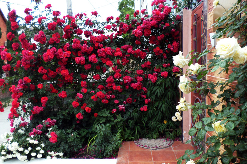 Фото Грин Палац