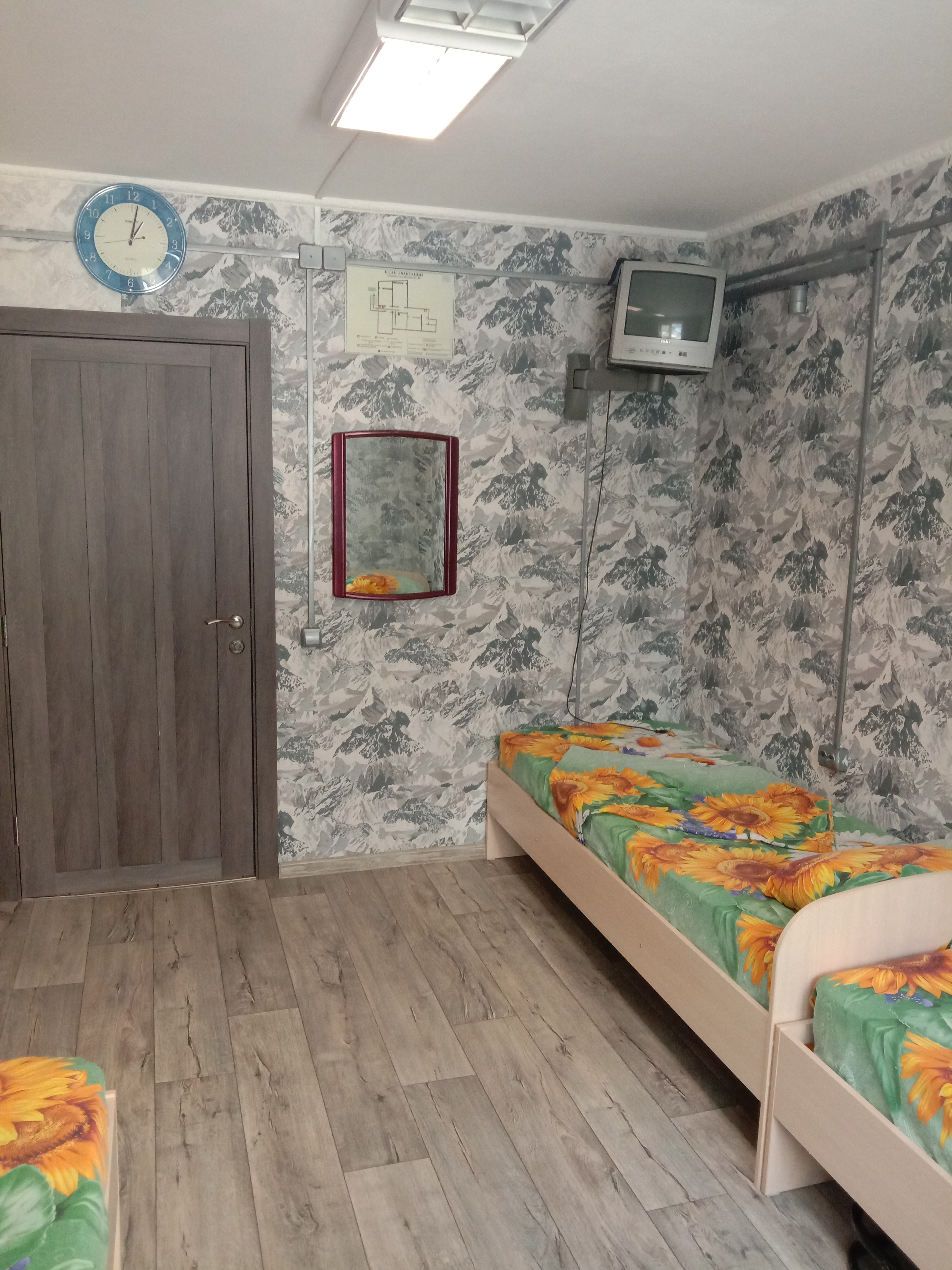 Фото Подсолнух