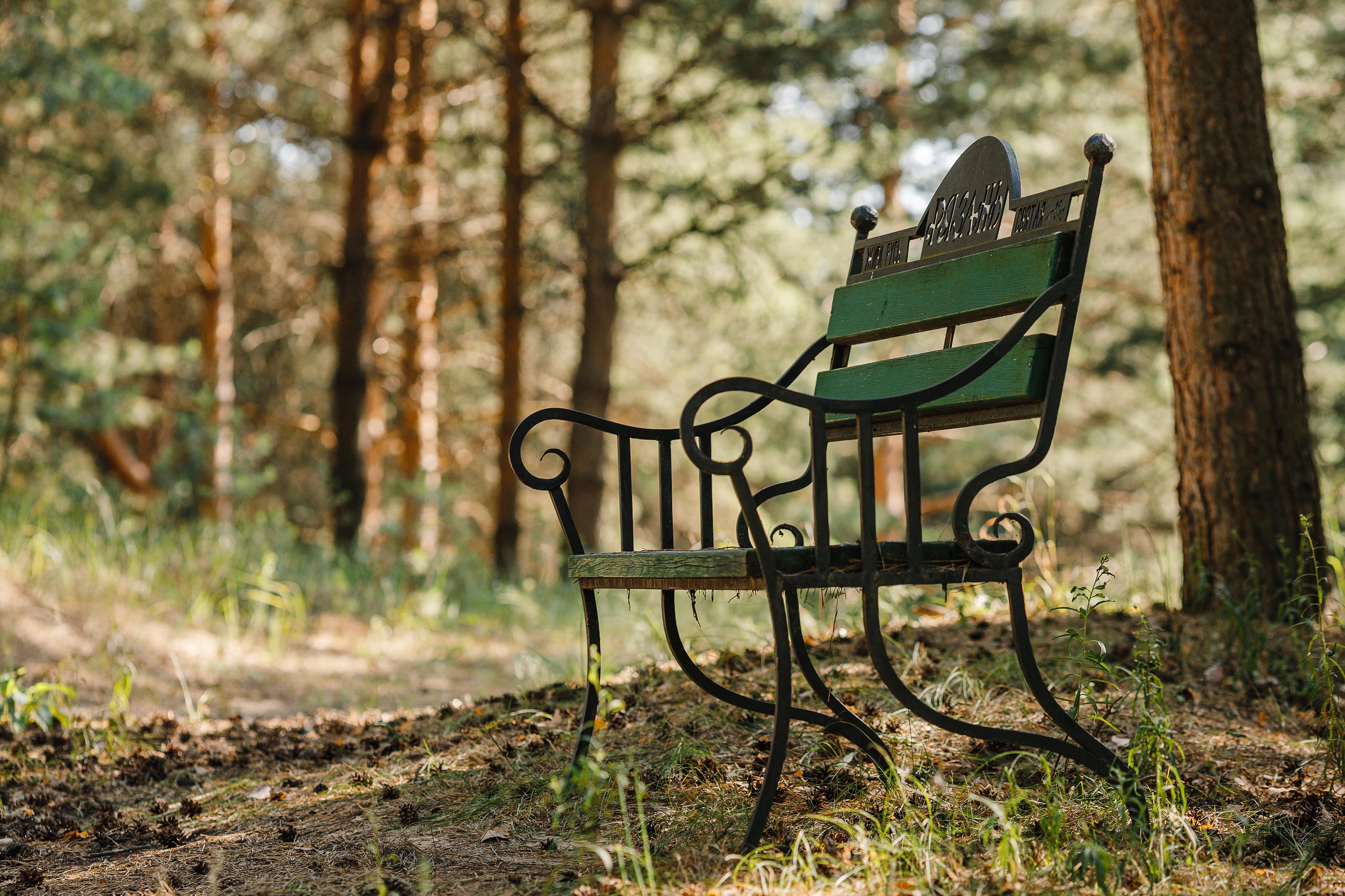 Фото Сумбулово