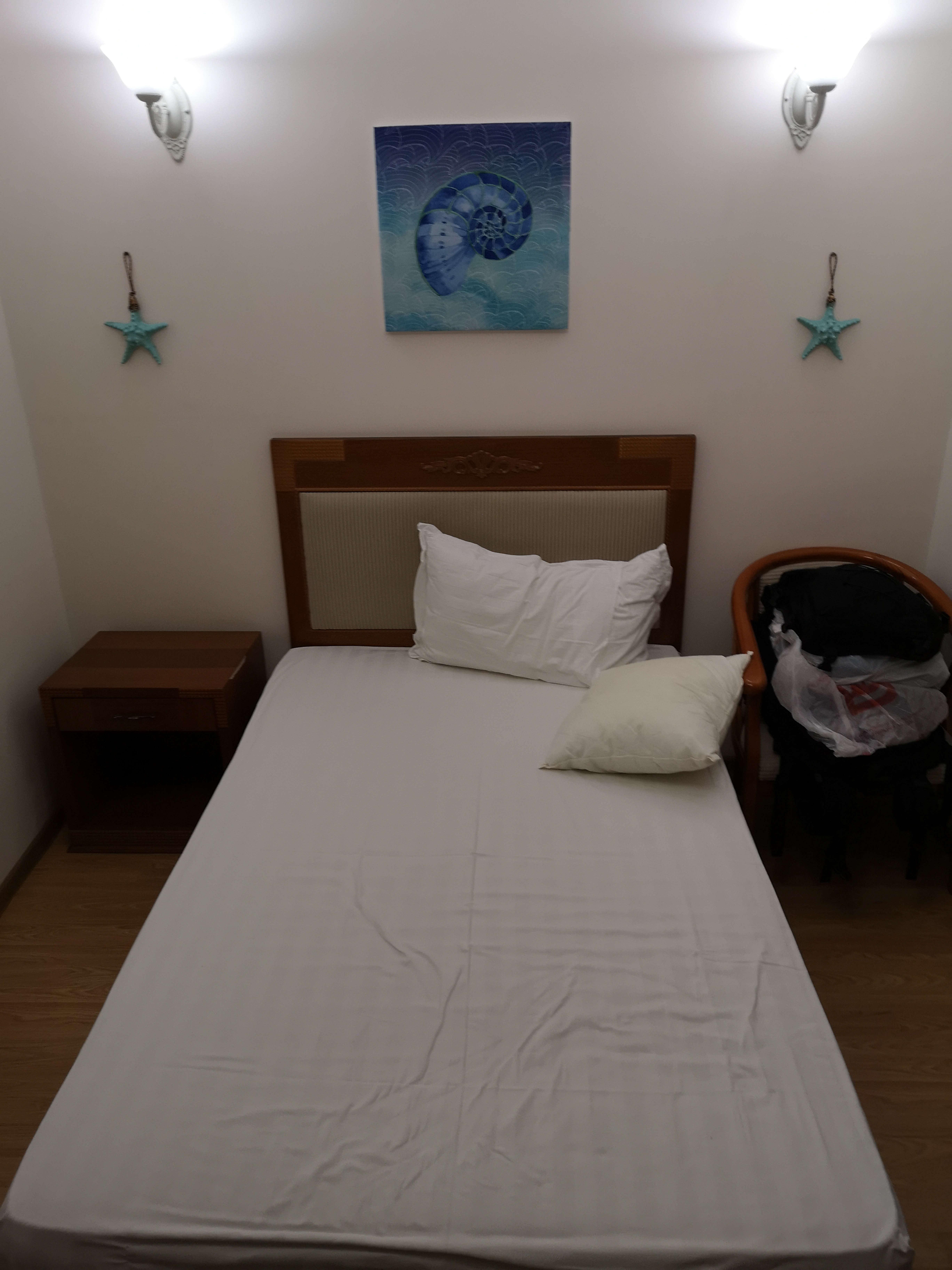 Фото Наутилус