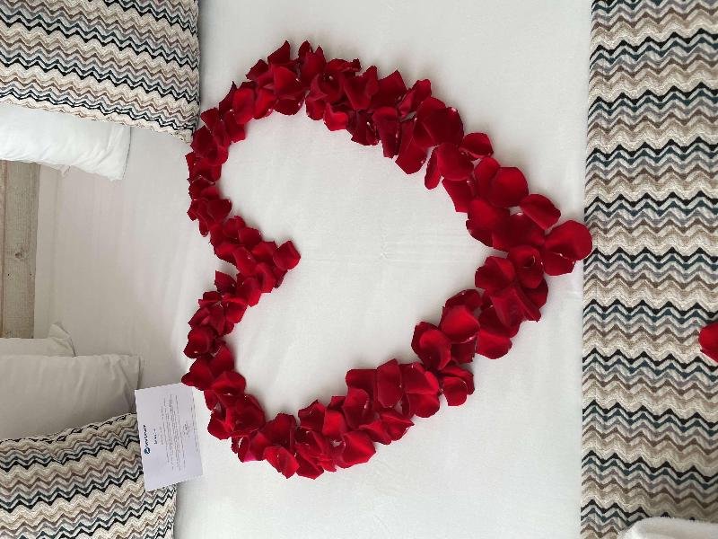 Фото Best Western Hotel Canet Plage