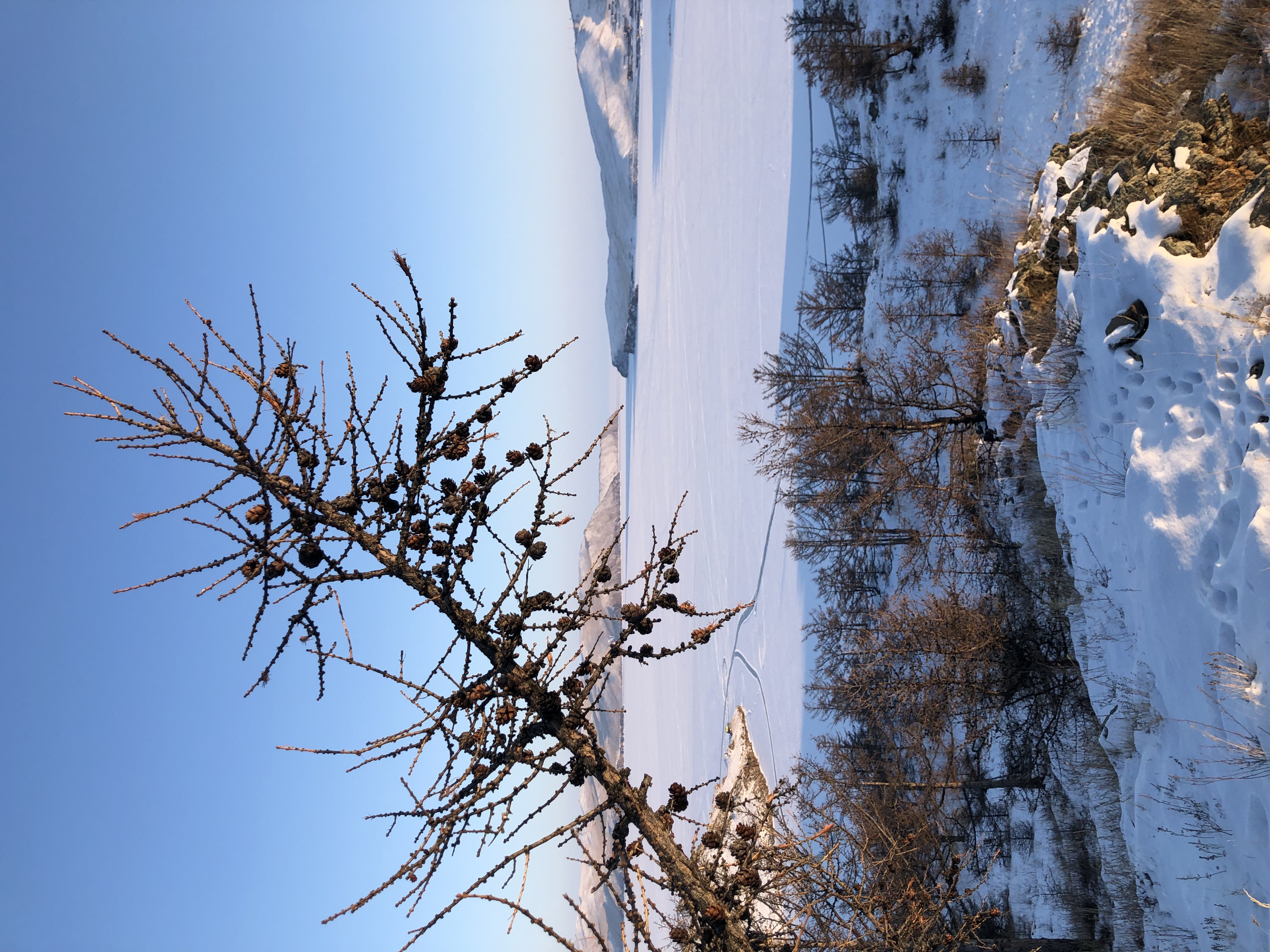 Фото Эльдорадо