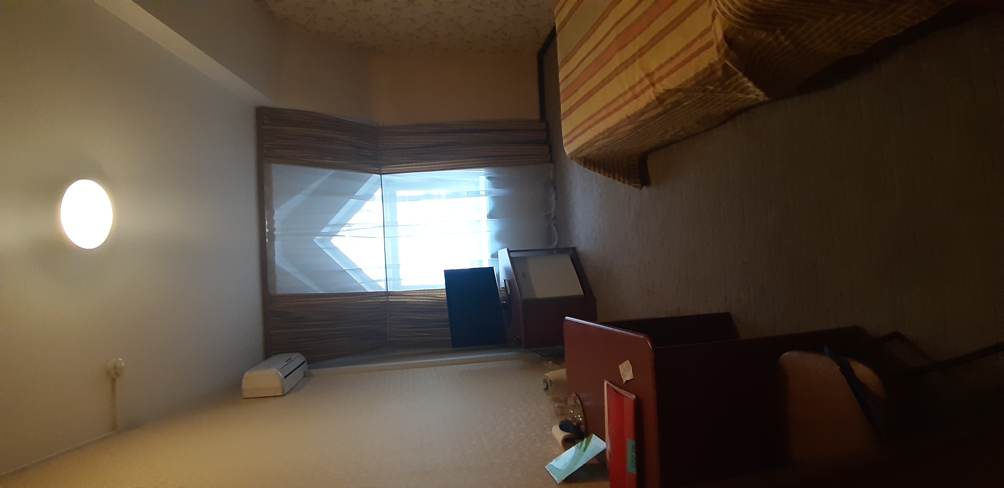 Фото Колибри