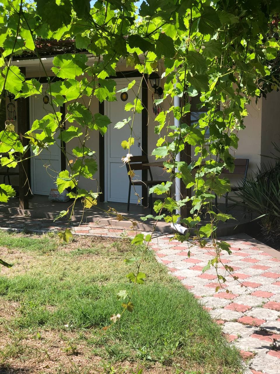 Фото Баунти