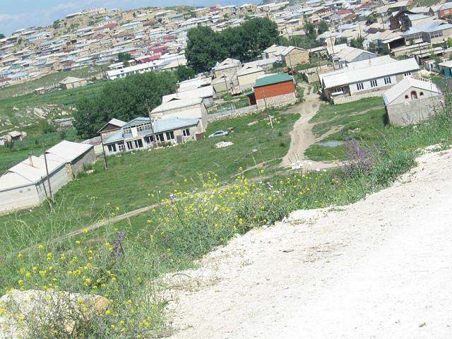 Фото Балхар