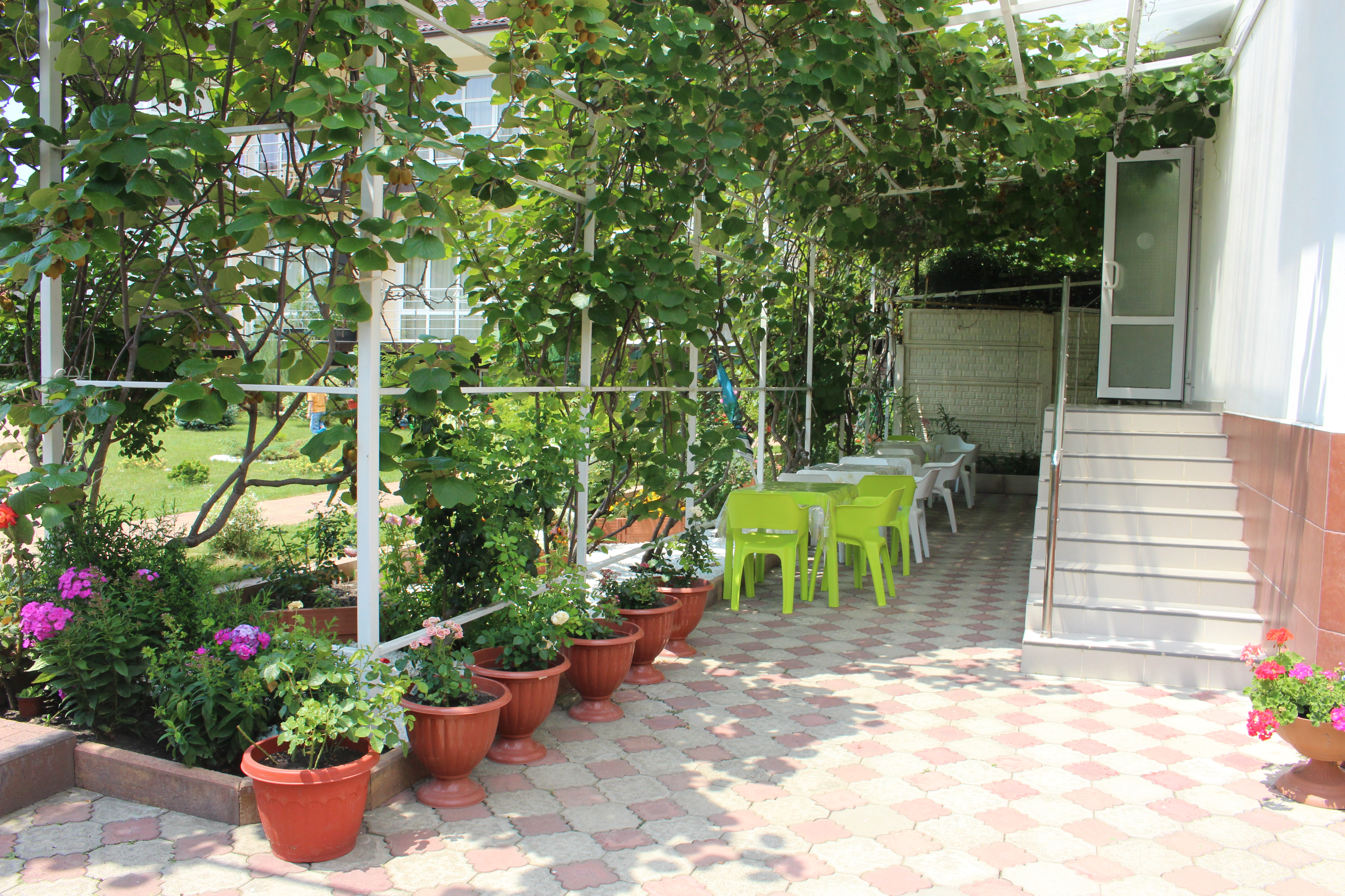 Фото Скарлетт