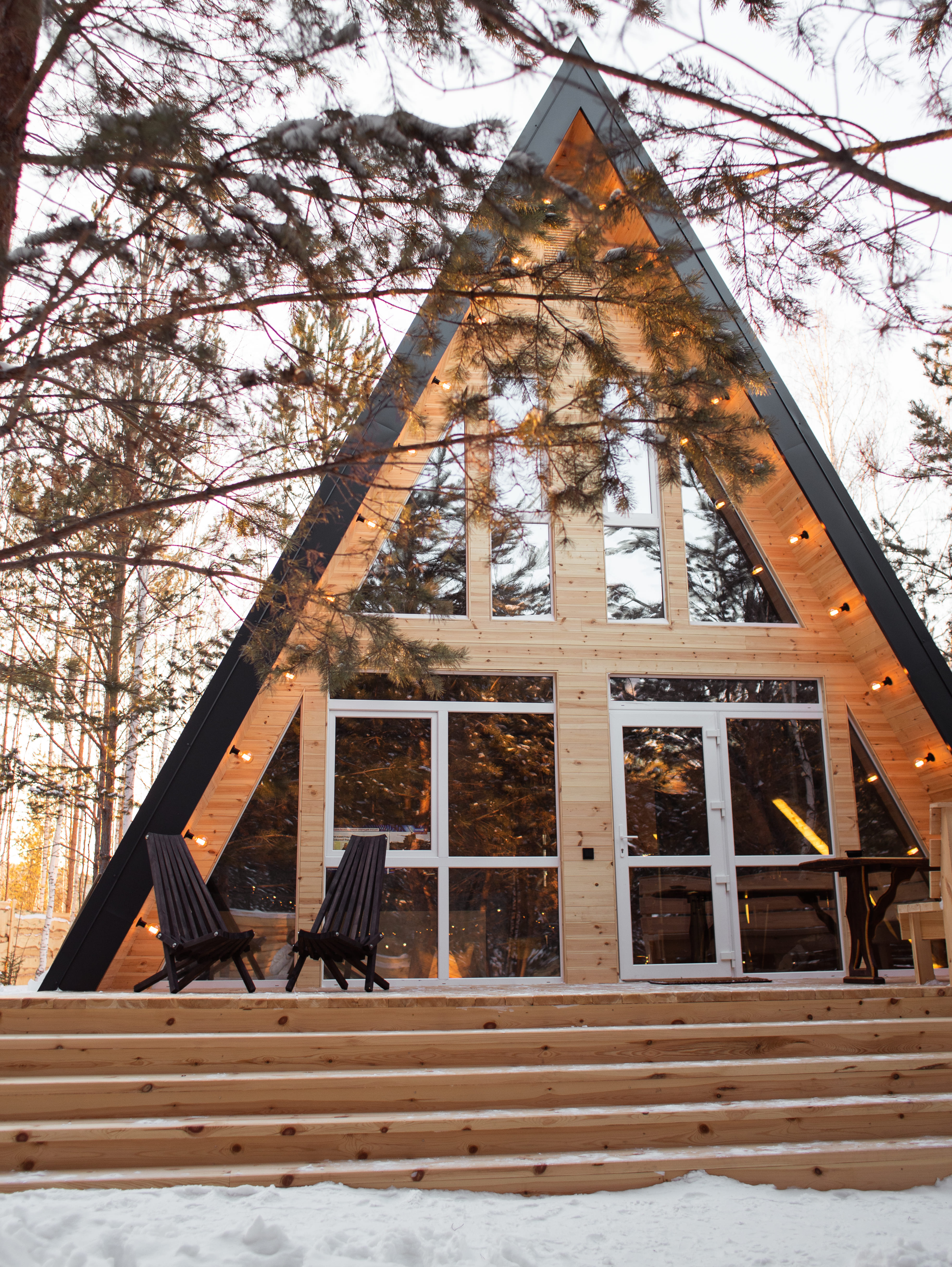 Фото Forest tale