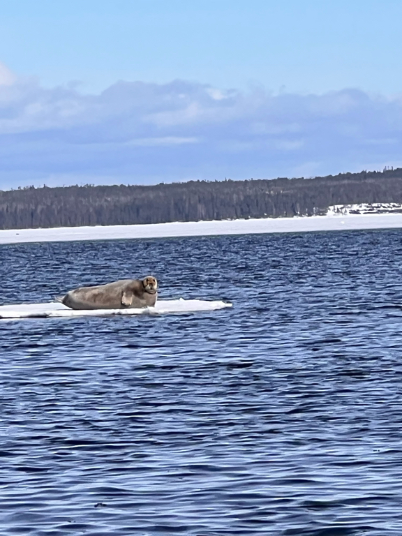 Фото Полярный круг
