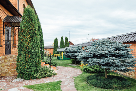 Фото Апарт-отель Мой Год