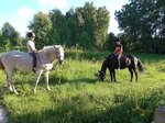 Конюшня (posyolok Kainskaya Zaimka, 1к9), horse riding