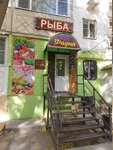 Фауна (Zhilaya Street, 5) ، محل بقالة