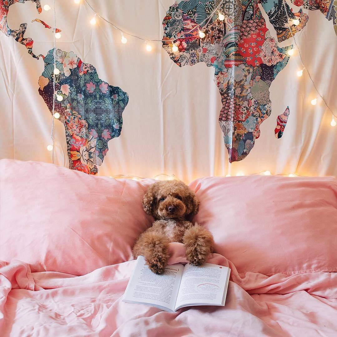 Фото Green Which