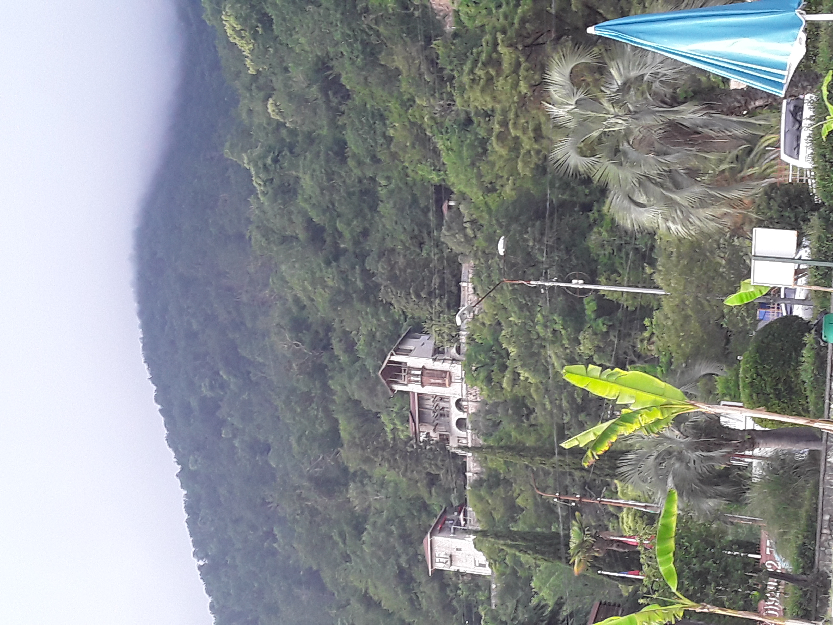 Фото Континент Гагра