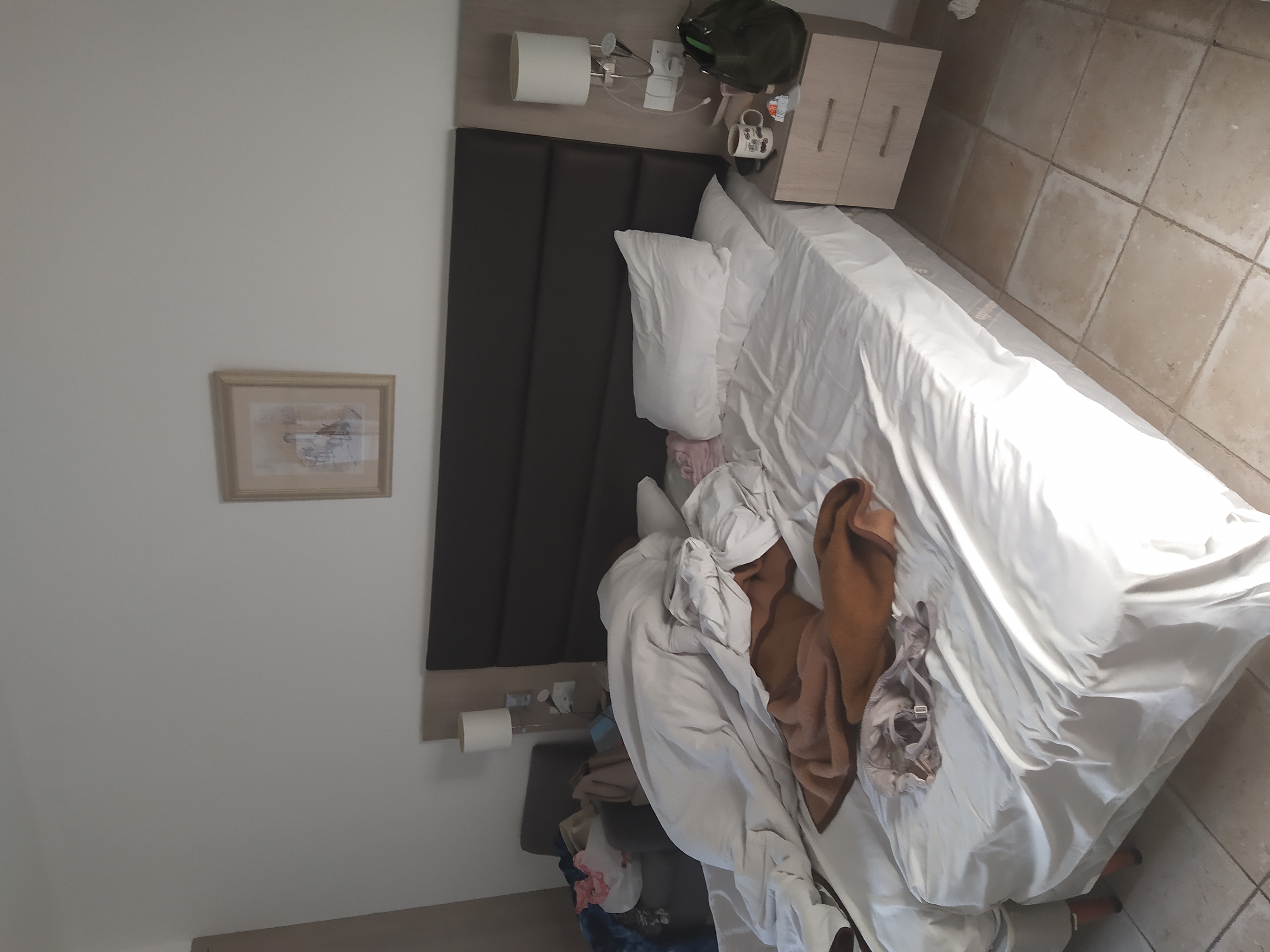 Фото Dionysos Central Hotel