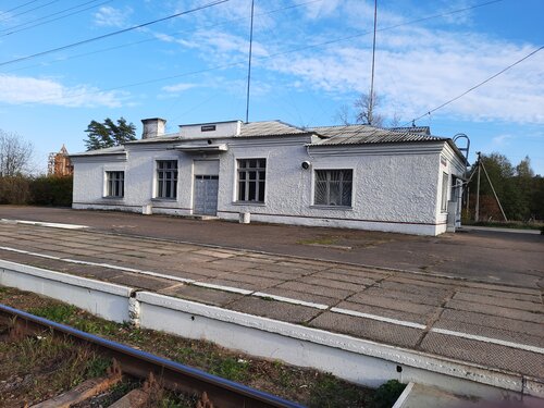 Железнодорожная станция Опухлики, Псковская область, фото