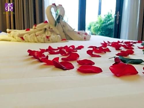 Фото Iris Hotel Can Tho