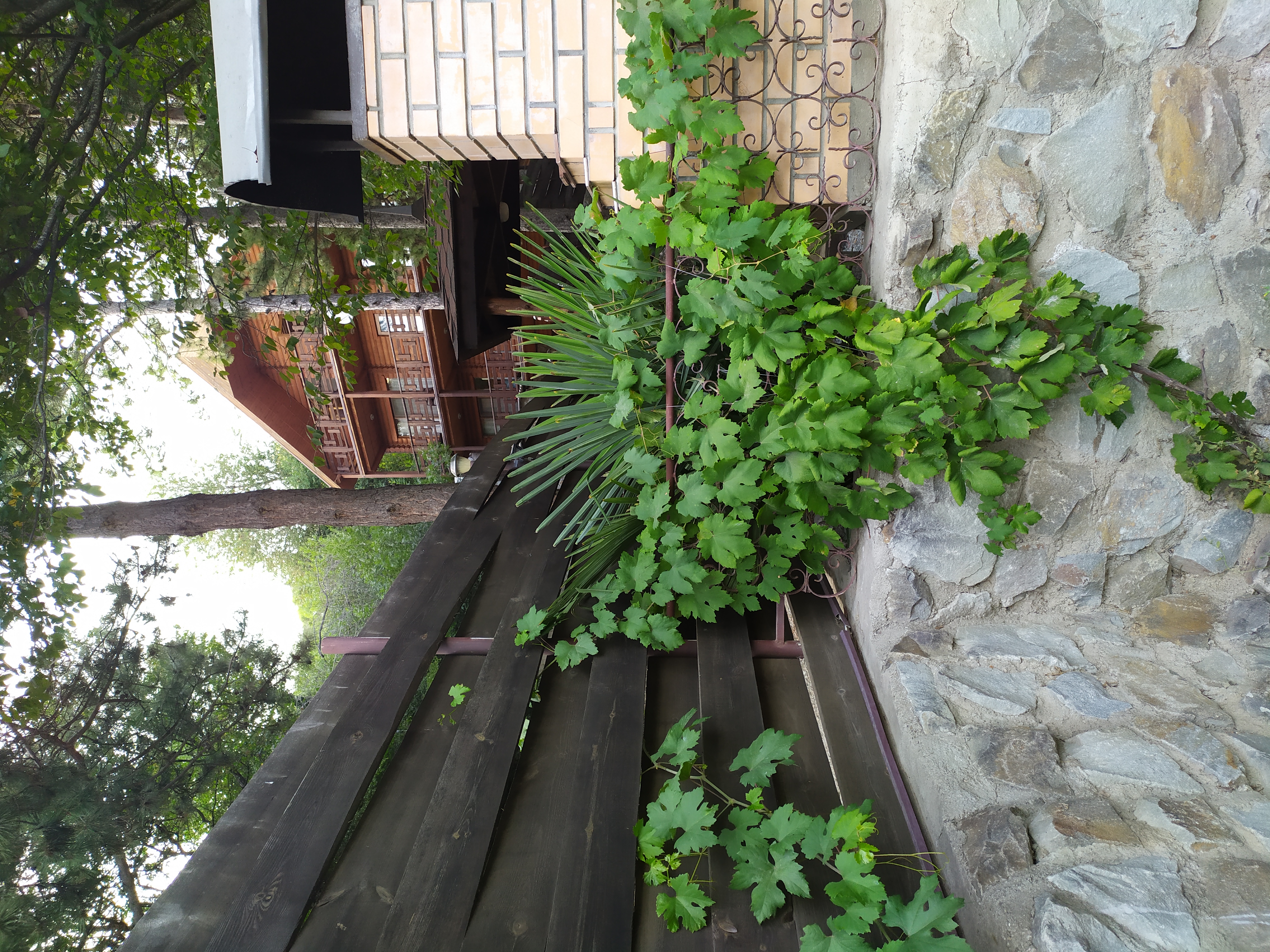 Фото Лесная Сказка