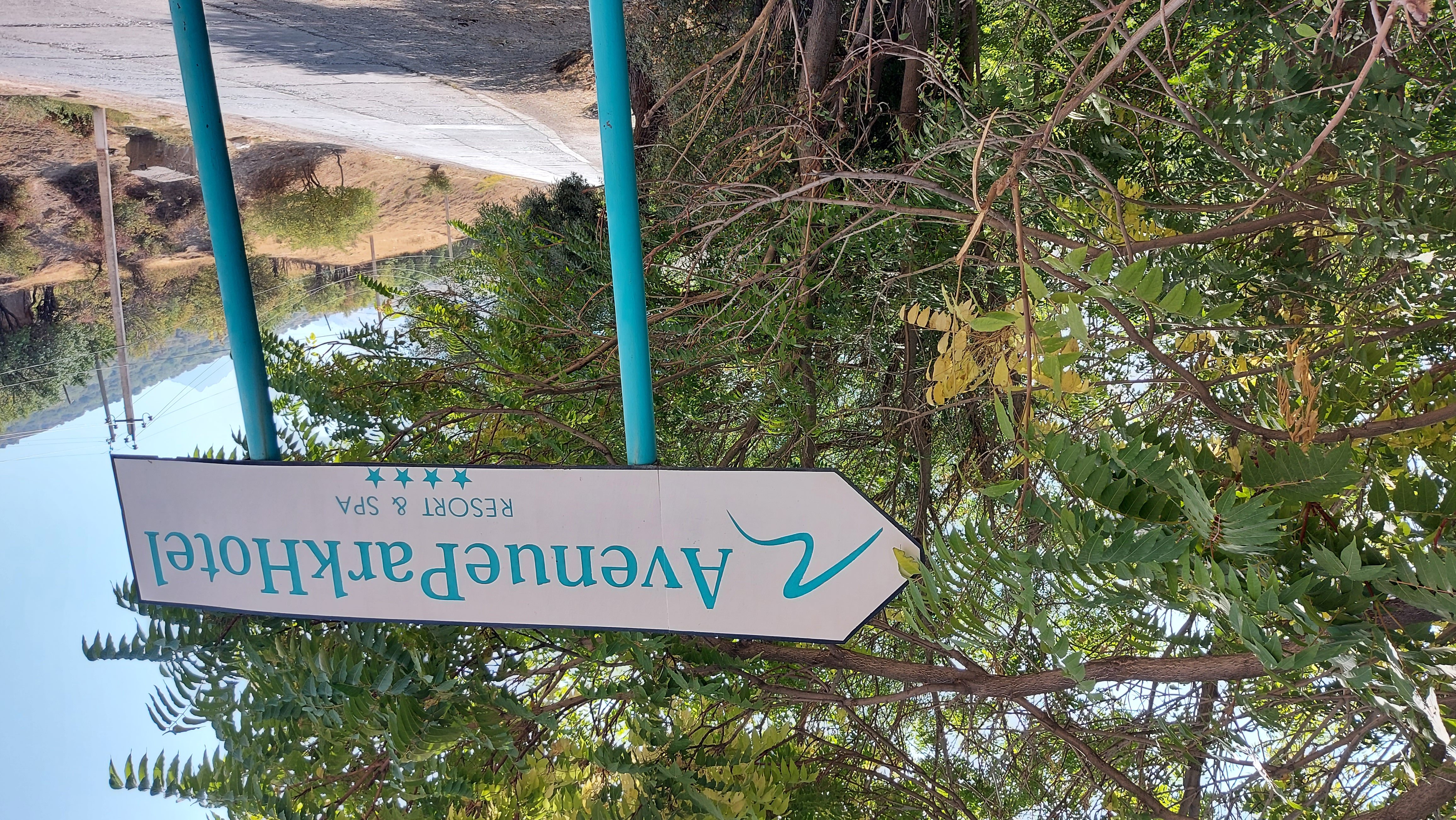 Фото Avenue Park Hotel