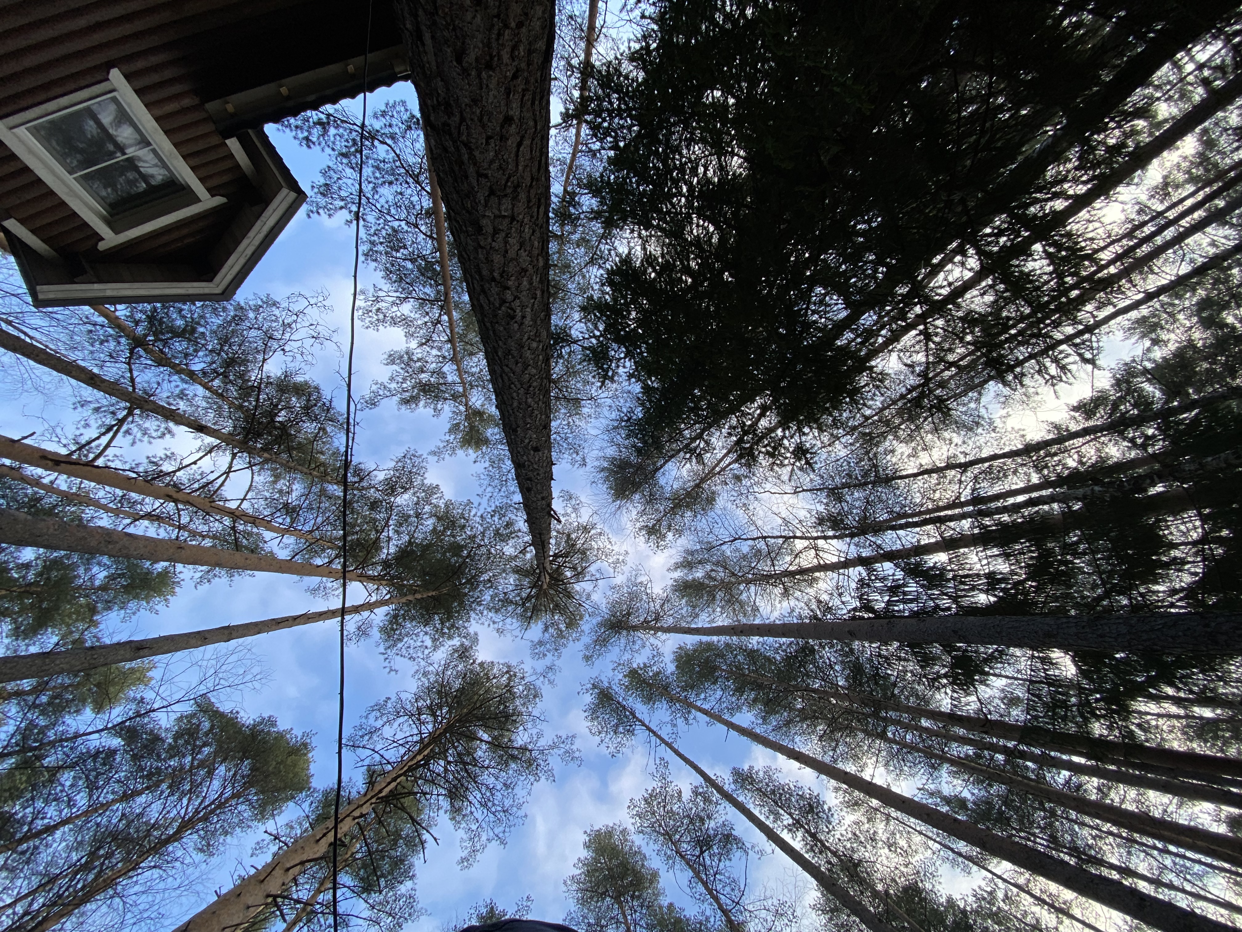 Фото Вилла Тайм