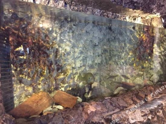 Фото Hotel Monte Baldo