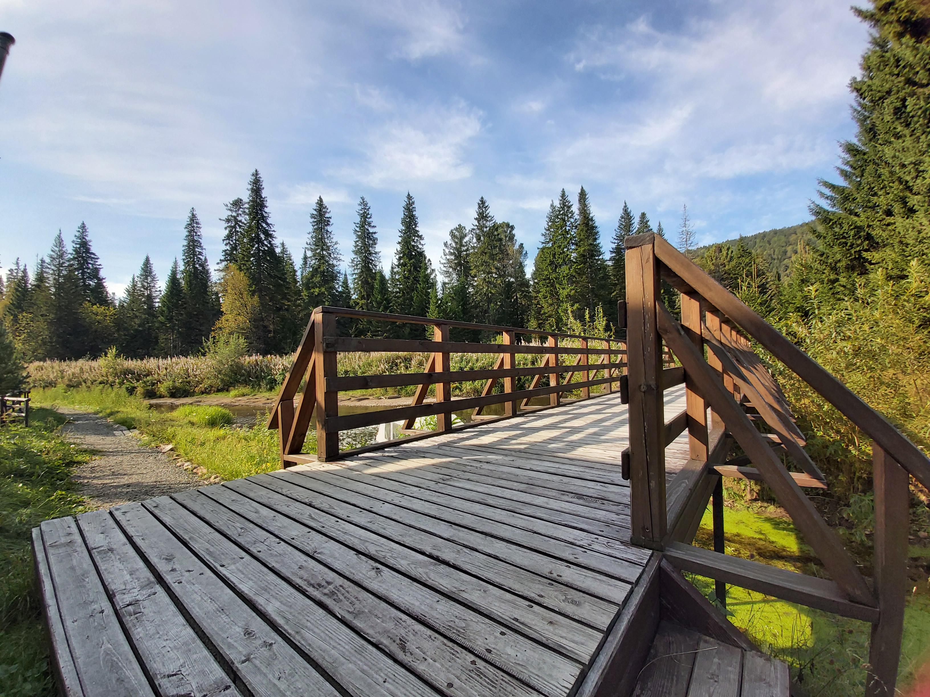 Фото Нарва Club