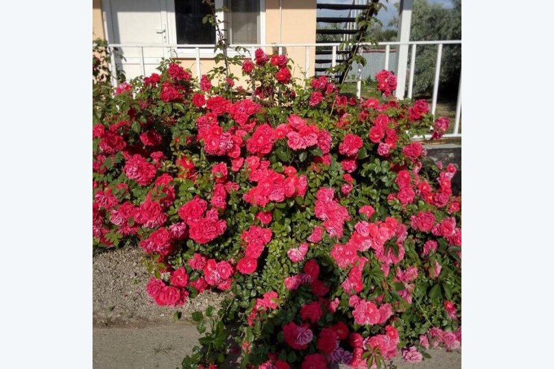 Фото Серебристый лог