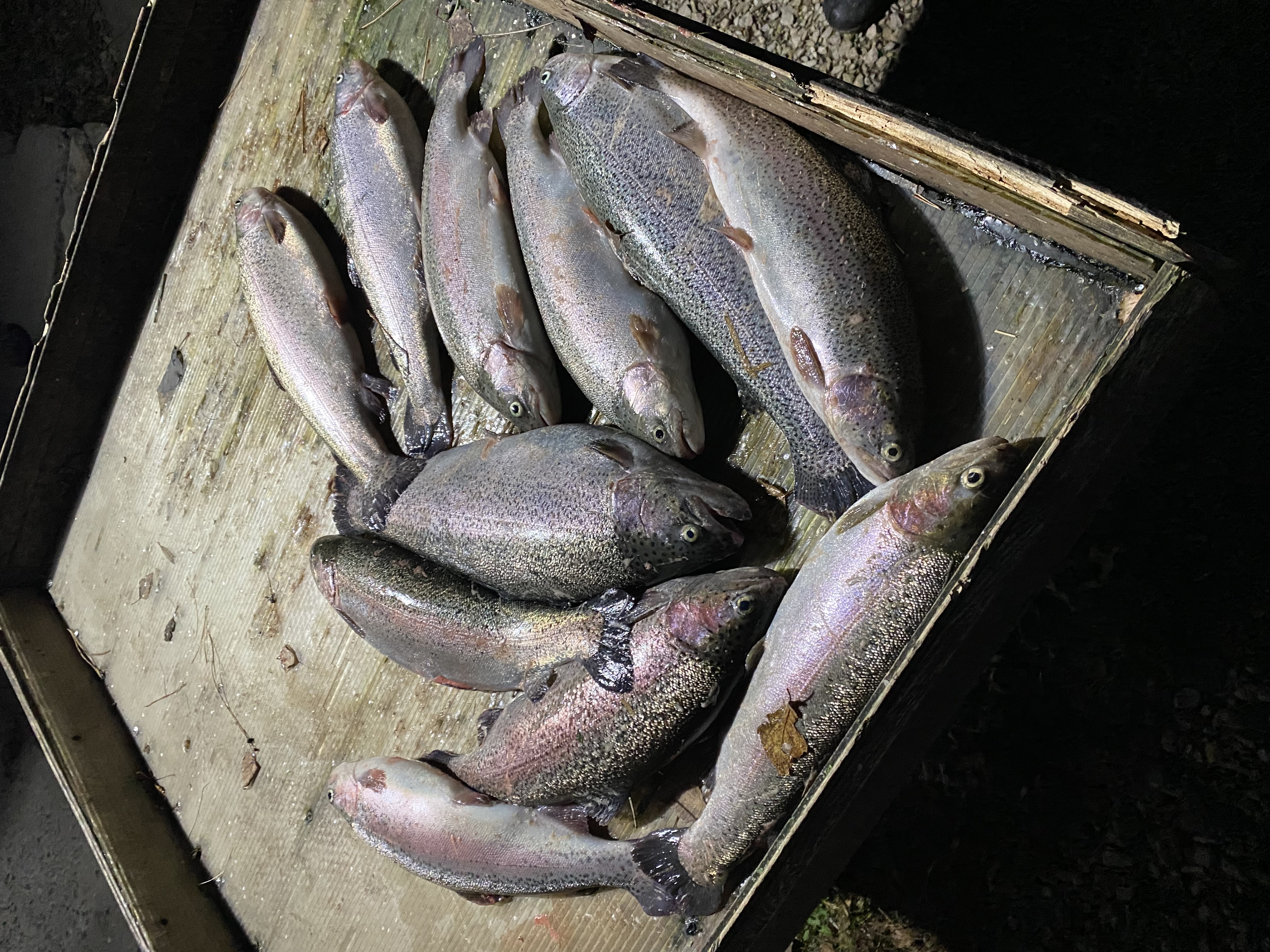 Фото Еду в гости