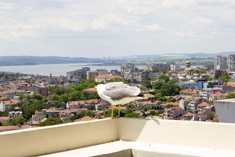 Фото Черно Море