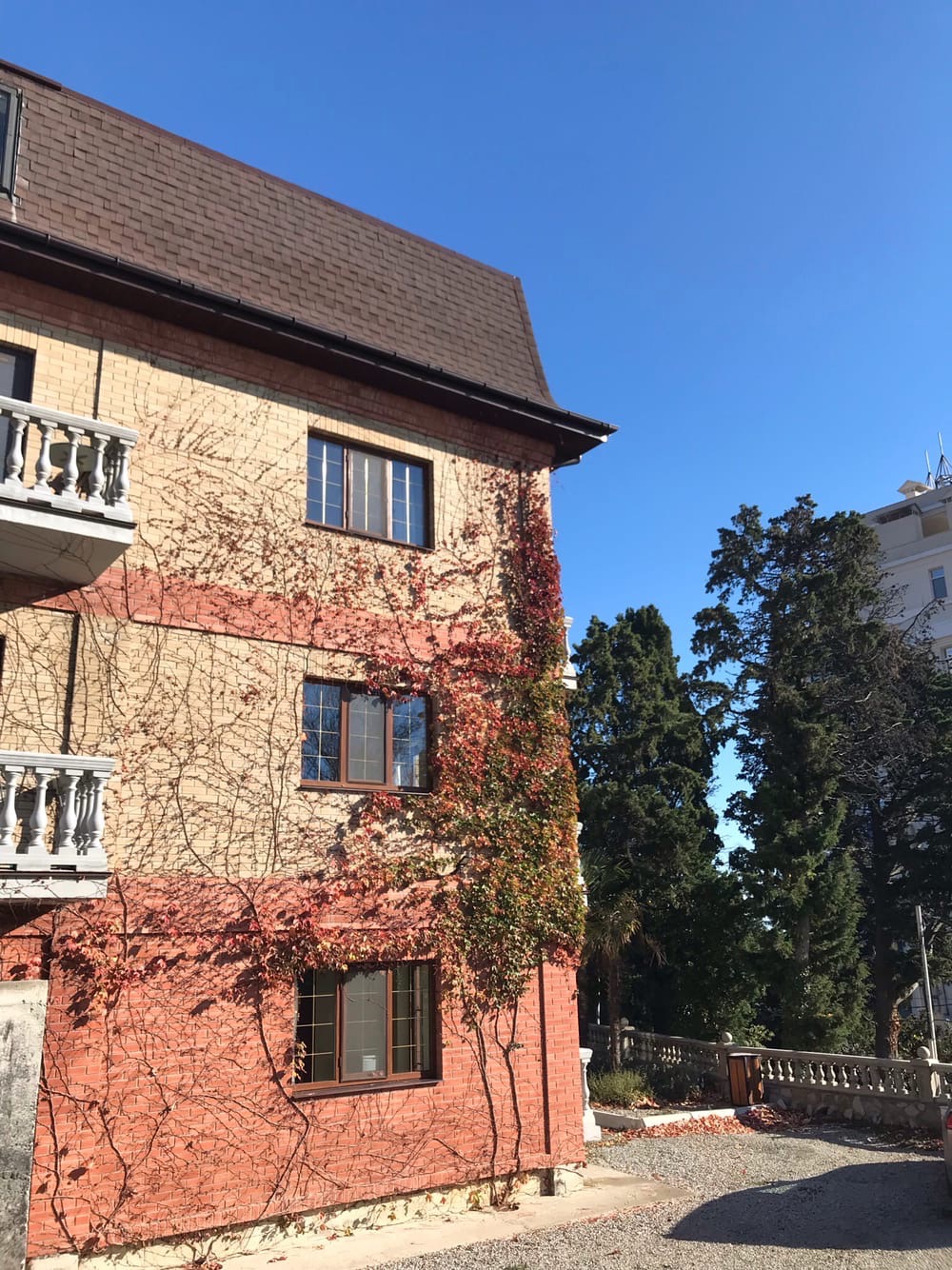 Фото Дача Дриада