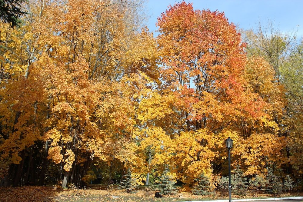 Фото Учебный центр профсоюзов Московской области