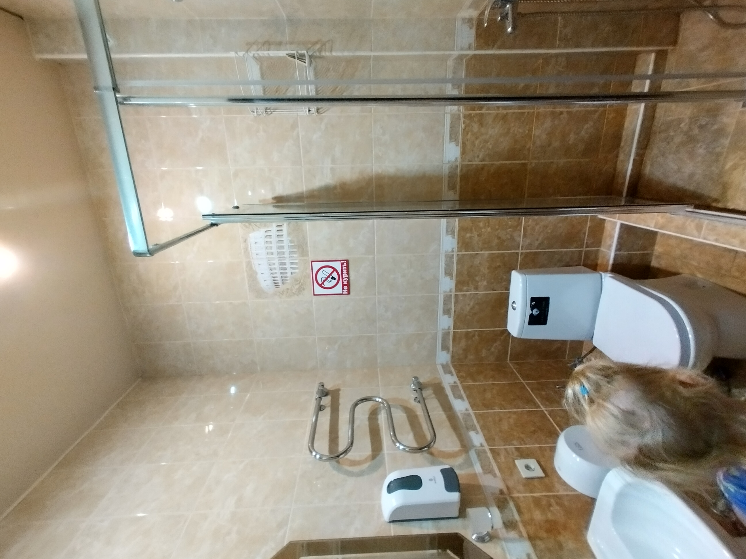 Фото Магнат