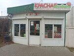 Красная гвоздика (Rechycki praspiekt, 7Б/1) ، محل زهور