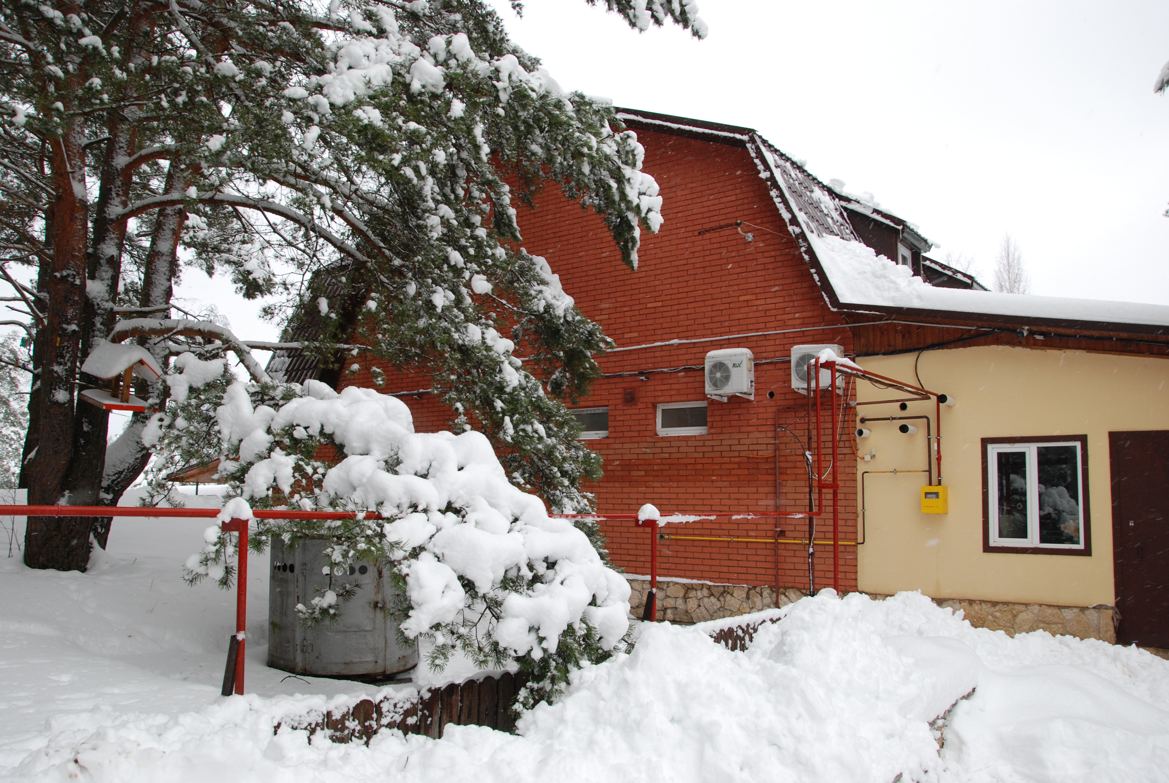 Фото Смоленка