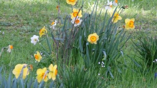 Фото Hotel St. Georg