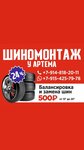 Шиномонтаж (Pionerskaya Street, 66Б) ، تركيب وتصليح الإطارات
