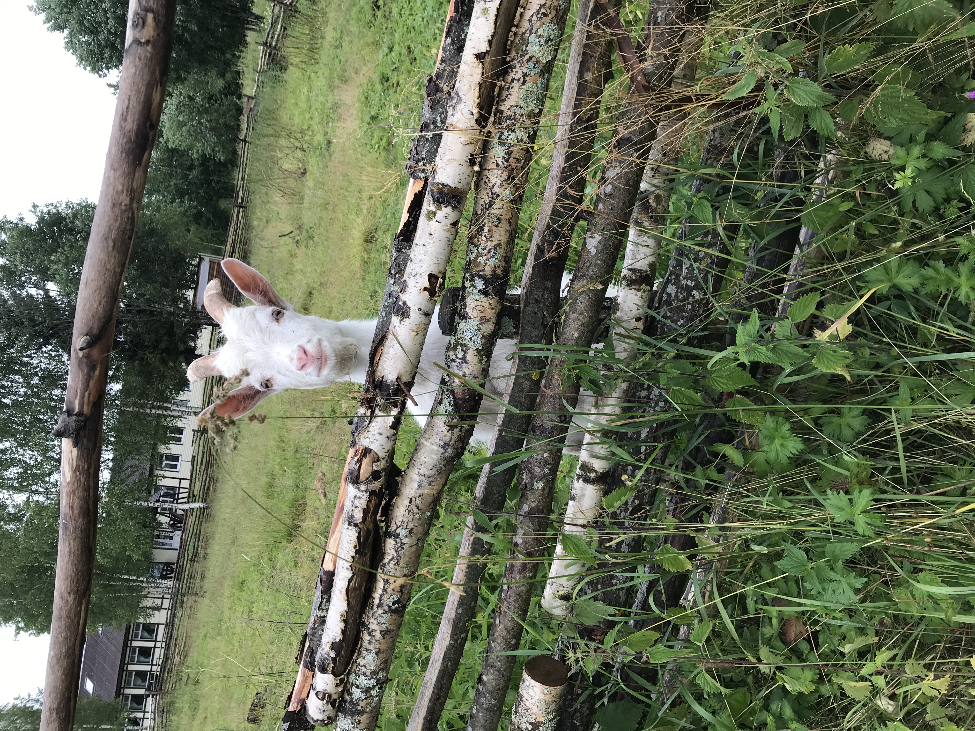 Фото Великое Озеро