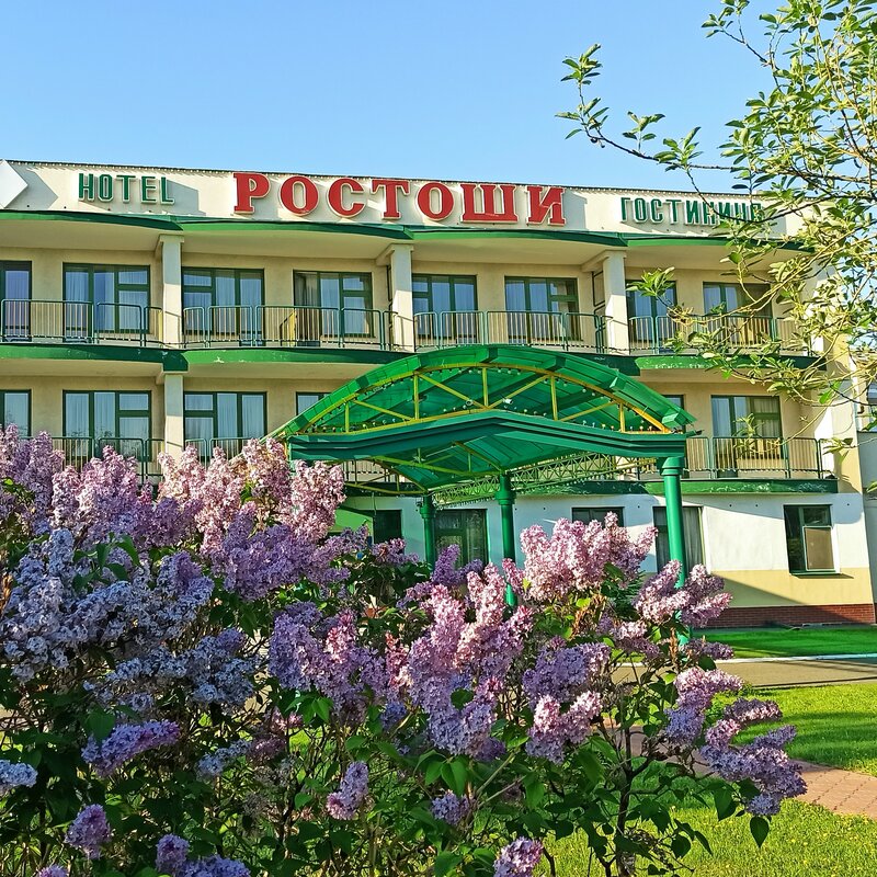 Ростоши — фото 29