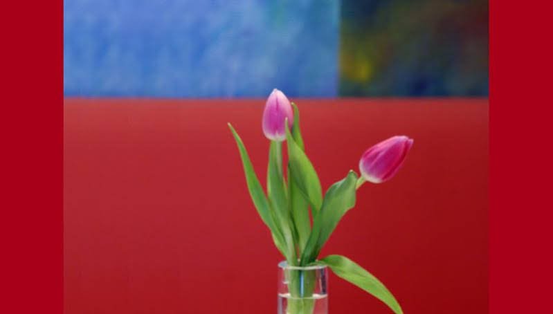 Фото Creatif Hotel Elephant