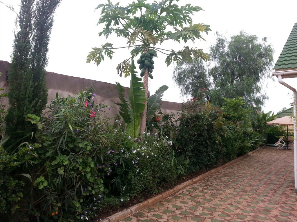 Фото Korona House