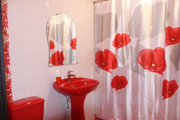 Фото Крокус